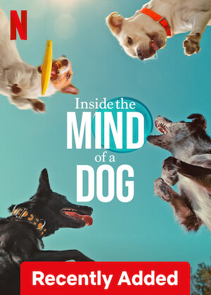 Netflix: Inside the Mind of a Dog | <strong>Opis Netflix</strong><br> Dzięki temu dokumentowi wyruszysz w fantastyczną podróż do świata psów i poznasz naukowe ciekawostki na temat emocji rządzących życiem naszych ukochanych pupili. | Oglądaj film na Netflix.com